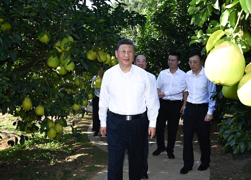爱体育