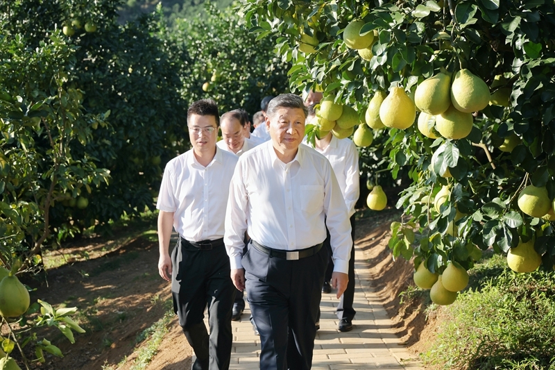 爱体育