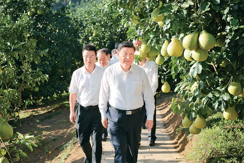 爱体育